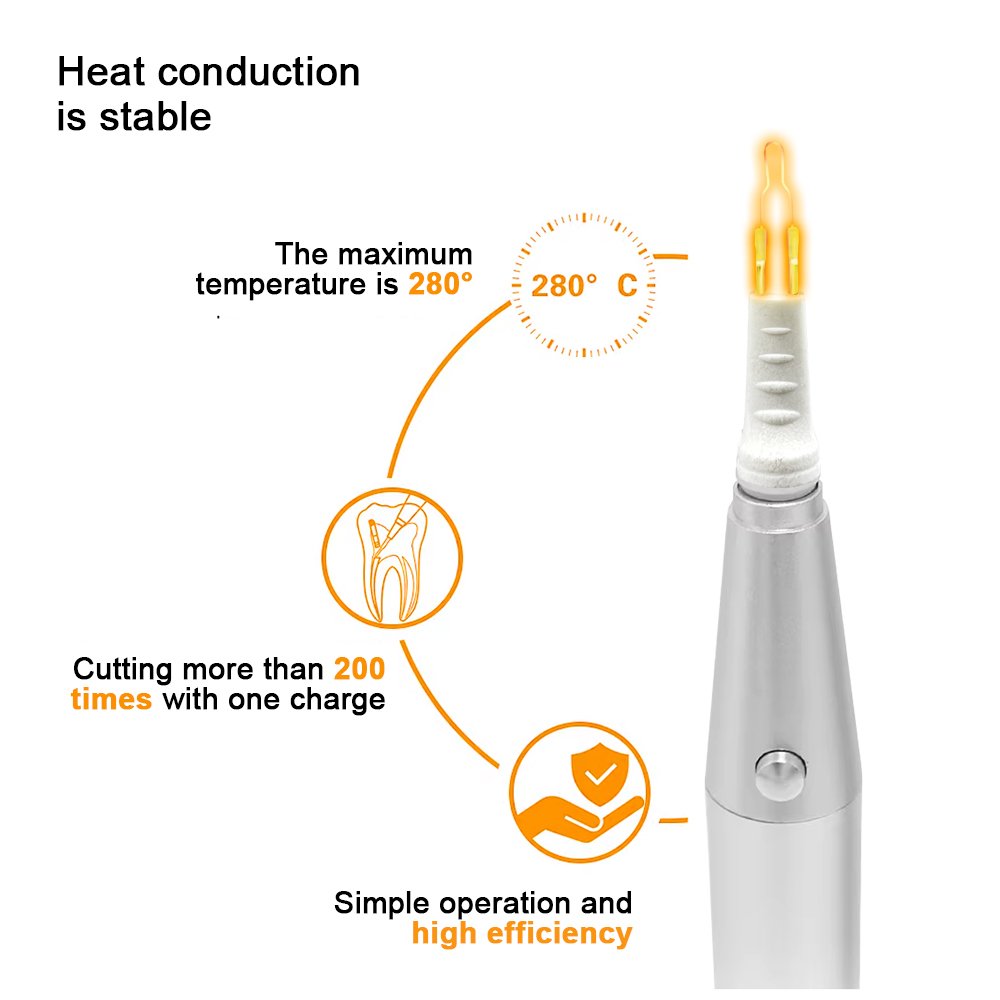 8 Tips Dental Gutta Percha Cut - Teeth Whitening Tips บทวิจารณ์และราคา