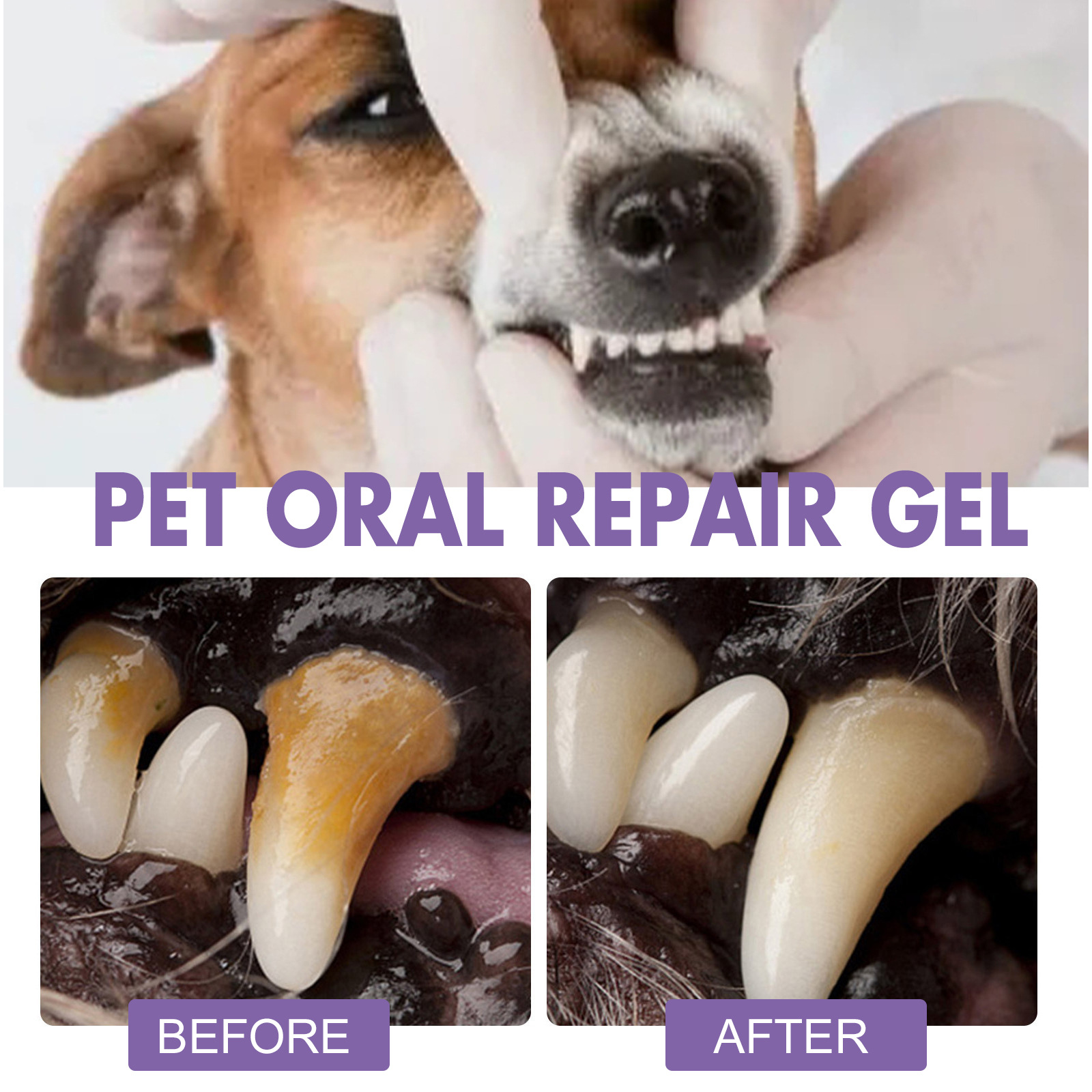 Pet Oral Repair Gel Puppy Tart - Teeth Whitening Results บทวิจารณ์และราคา