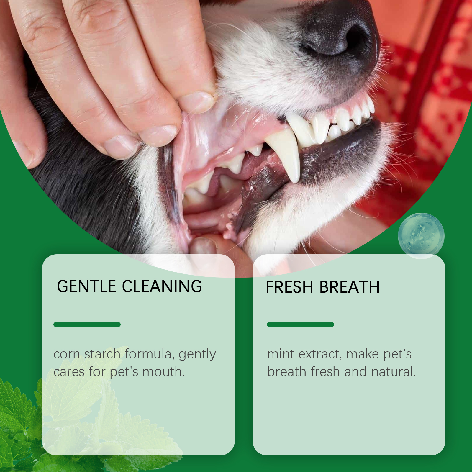 Pet Teeth Cleaning Powder Redu - Teeth Whitening Results บทวิจารณ์และราคา