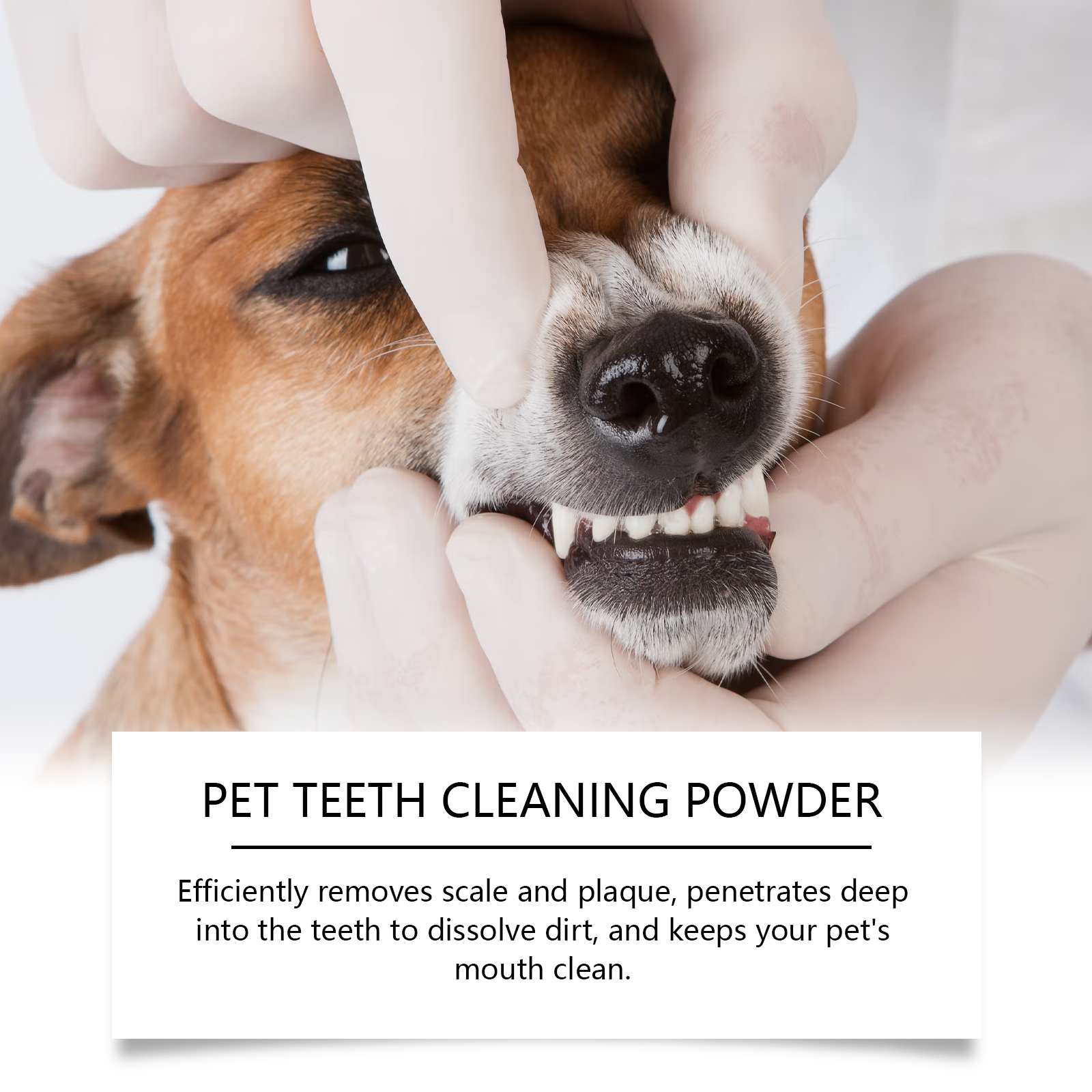 Pet Teeth Cleaning Powder Redu - Teeth Whitening Results บทวิจารณ์และราคา
