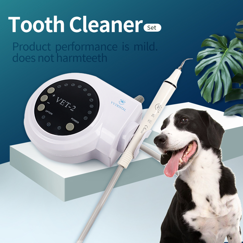 Pet Dental Ultrasonic Scaler D - Teeth Whitening Tips บทวิจารณ์และราคา