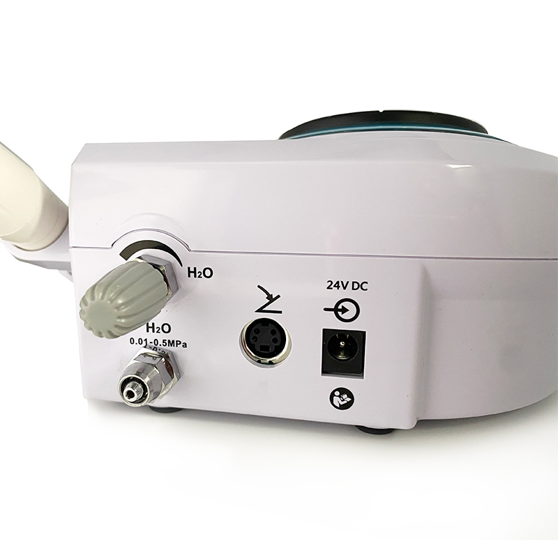 Pet Dental Ultrasonic Scaler D - Teeth Whitening Tips บทวิจารณ์และราคา